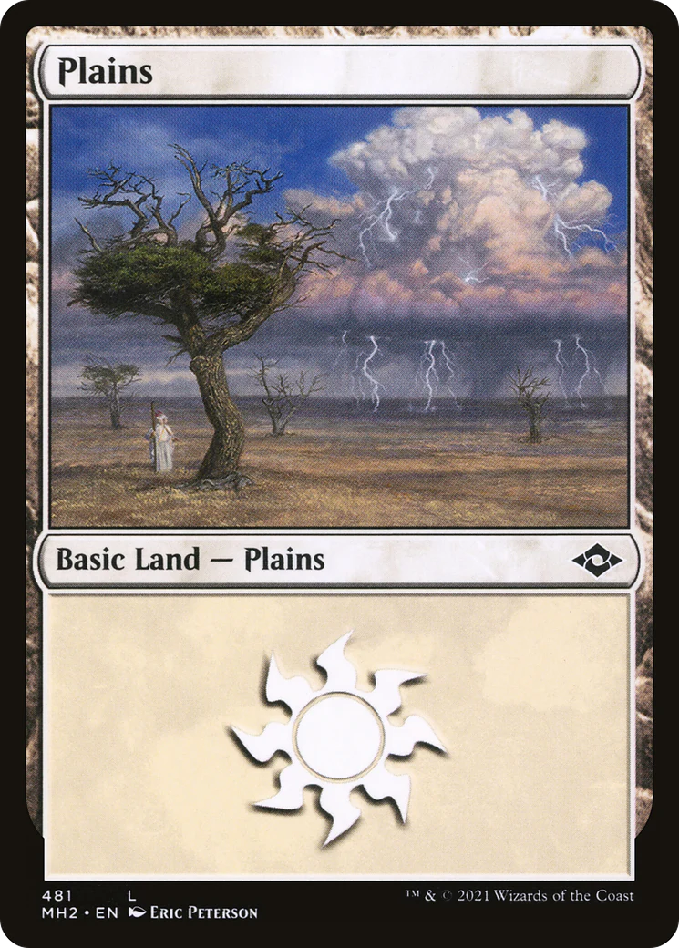 Plains (481) (MH2-481) - Modern Horizons 2 Etched Foil